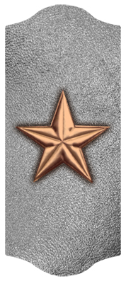 DARAY C 430 BZ SL Star Bronze Silver